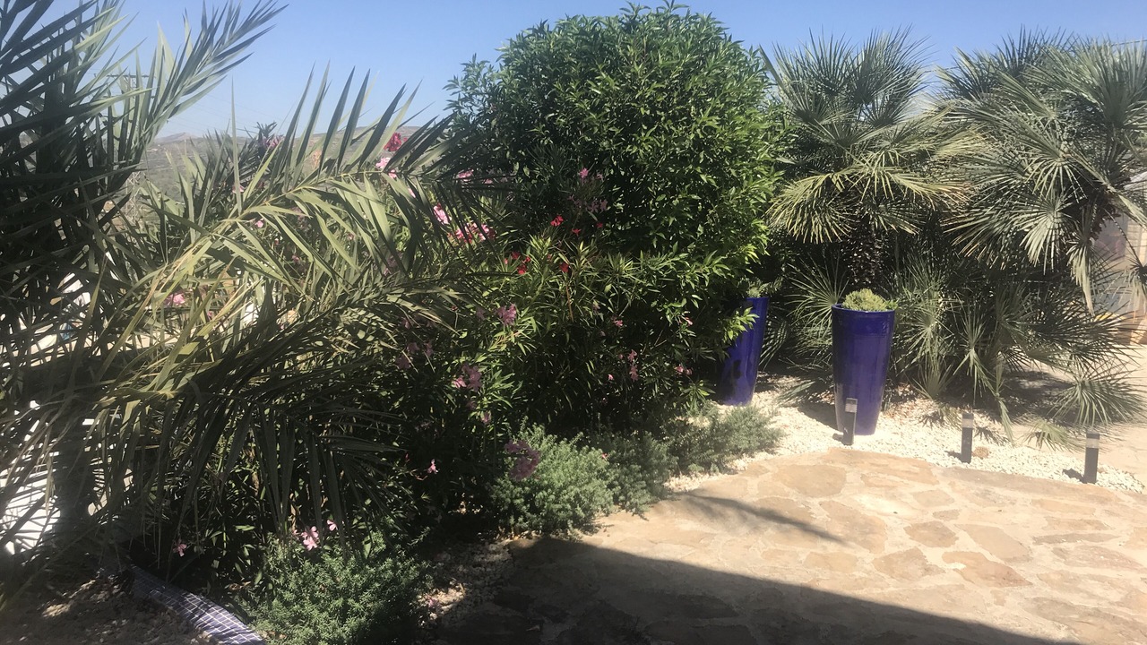 Photo of Outdoor in Teulada