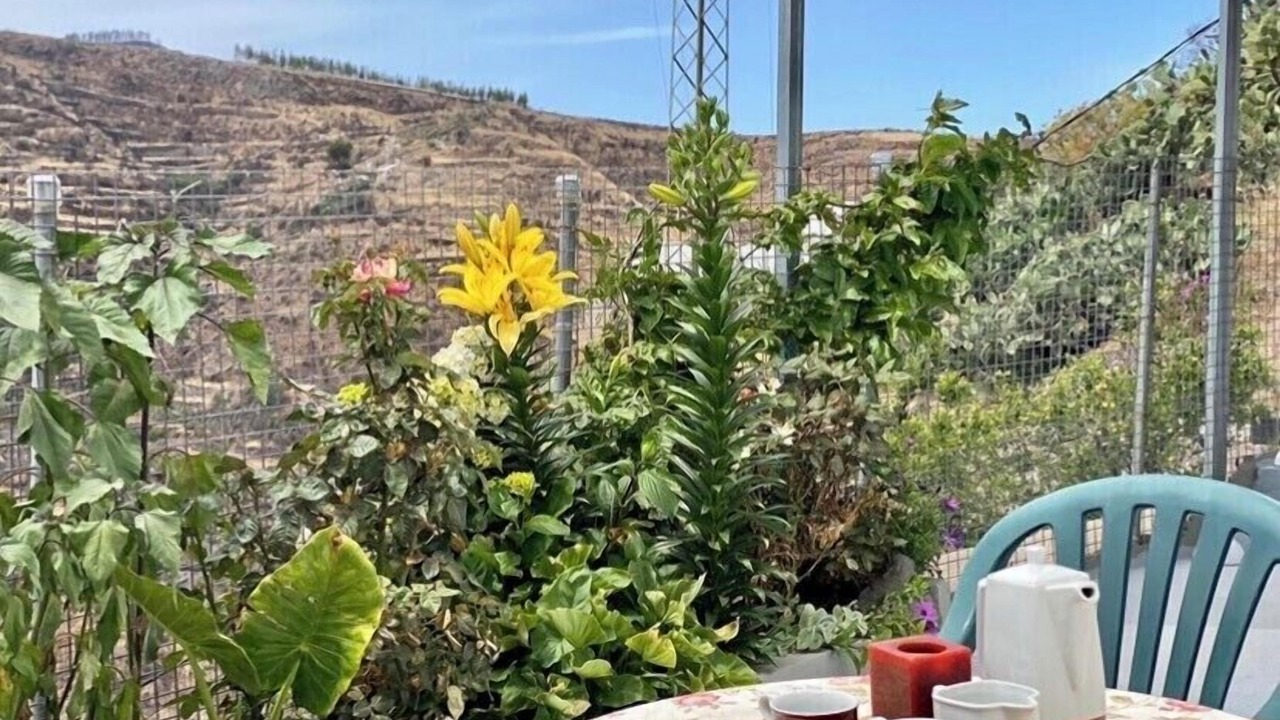 Photo of Outdoor in Juncalillo