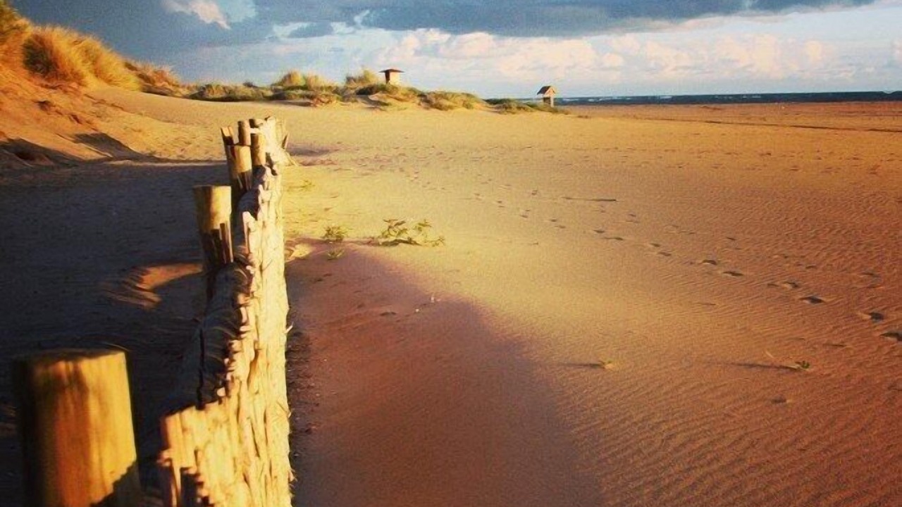 Photo of Others in Islantilla