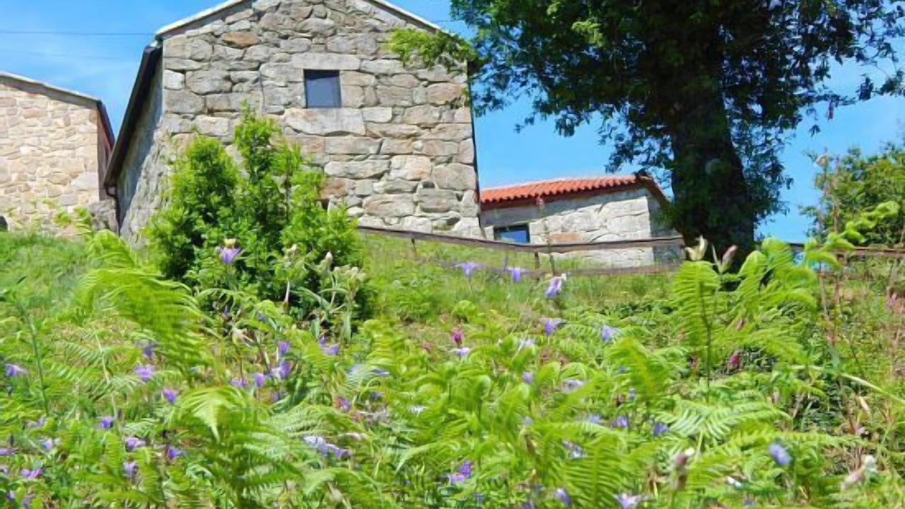 Photo of Outdoor in A Caniza