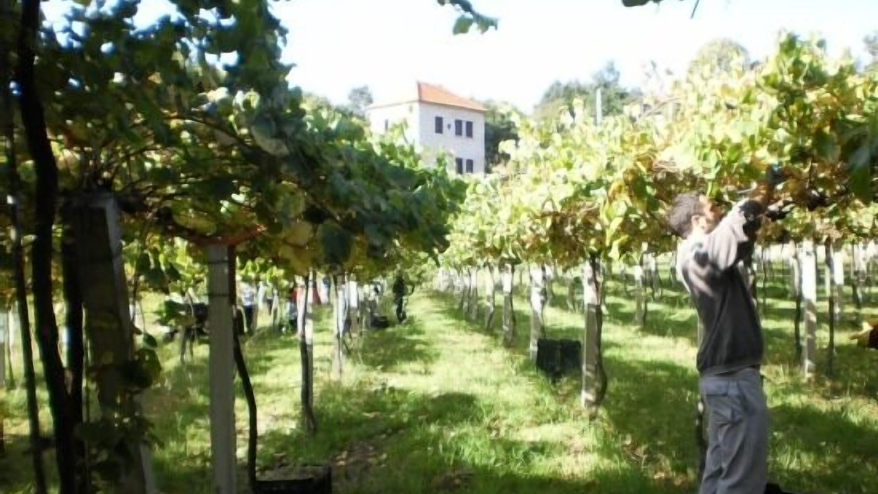 Photo of Outdoor in A Caniza