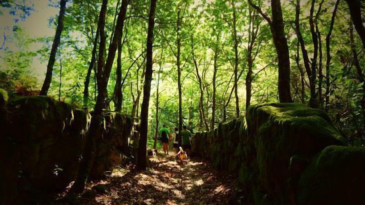 Photo of Outdoor in A Caniza