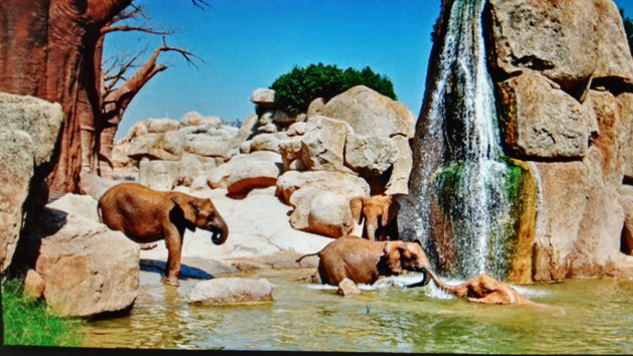 Photo of Outdoor in L'Olivereta