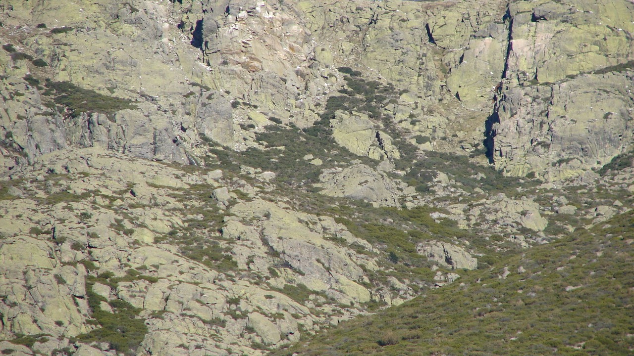 Photo of Others in Alameda del Valle