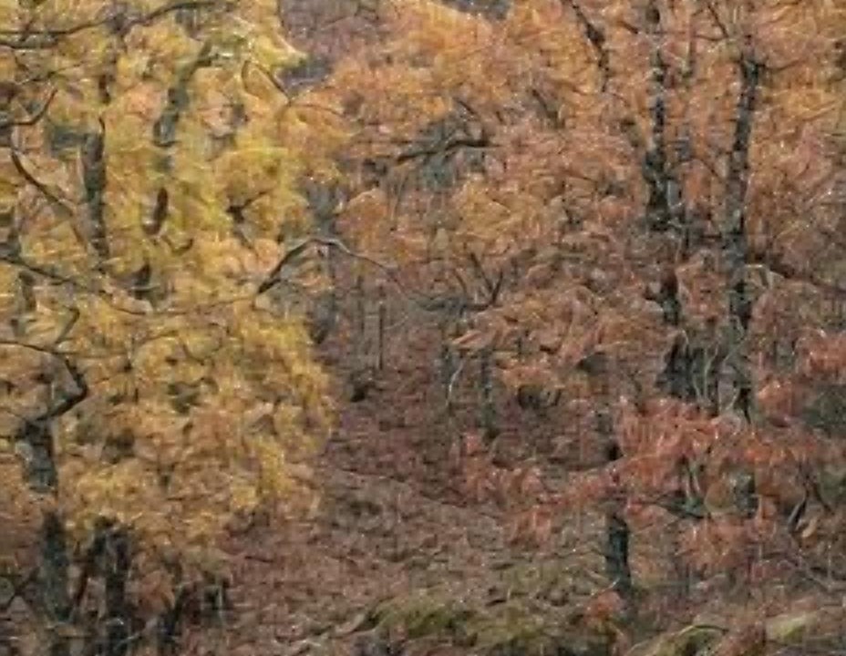 Photo of Outdoor in Alameda del Valle