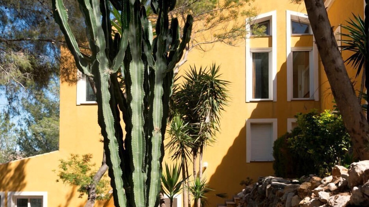 Photo of Outdoor in Pedreguer