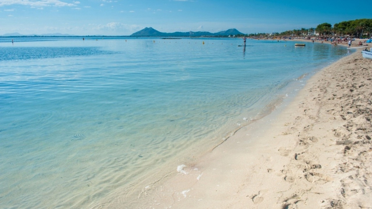 Photo of Others in Puerto de Pollensa