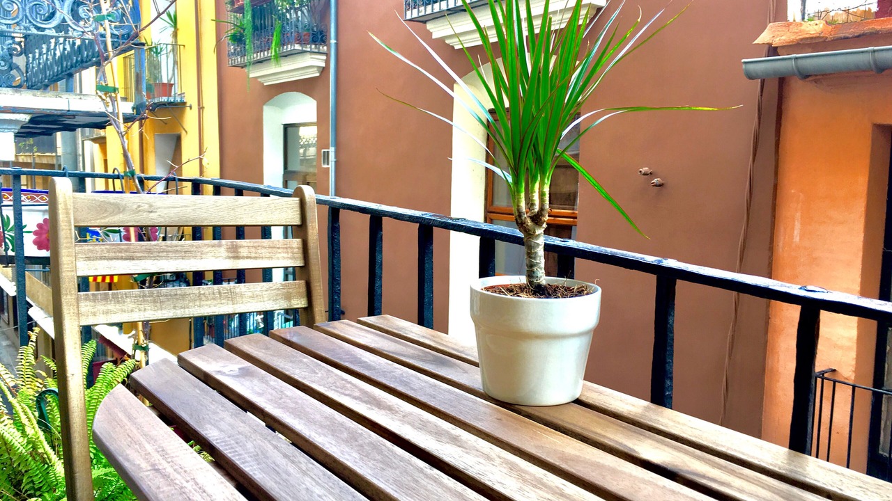 Photo of Outdoor in Ciutat Vella