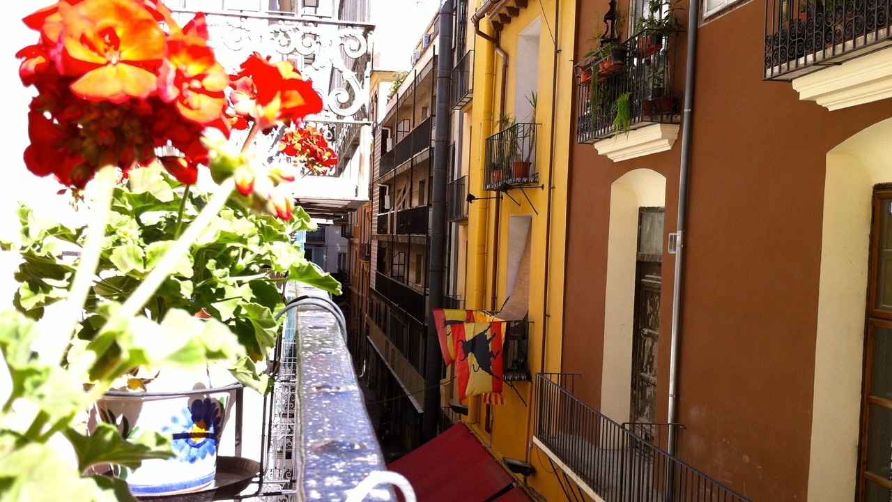 Photo of Outdoor in Ciutat Vella