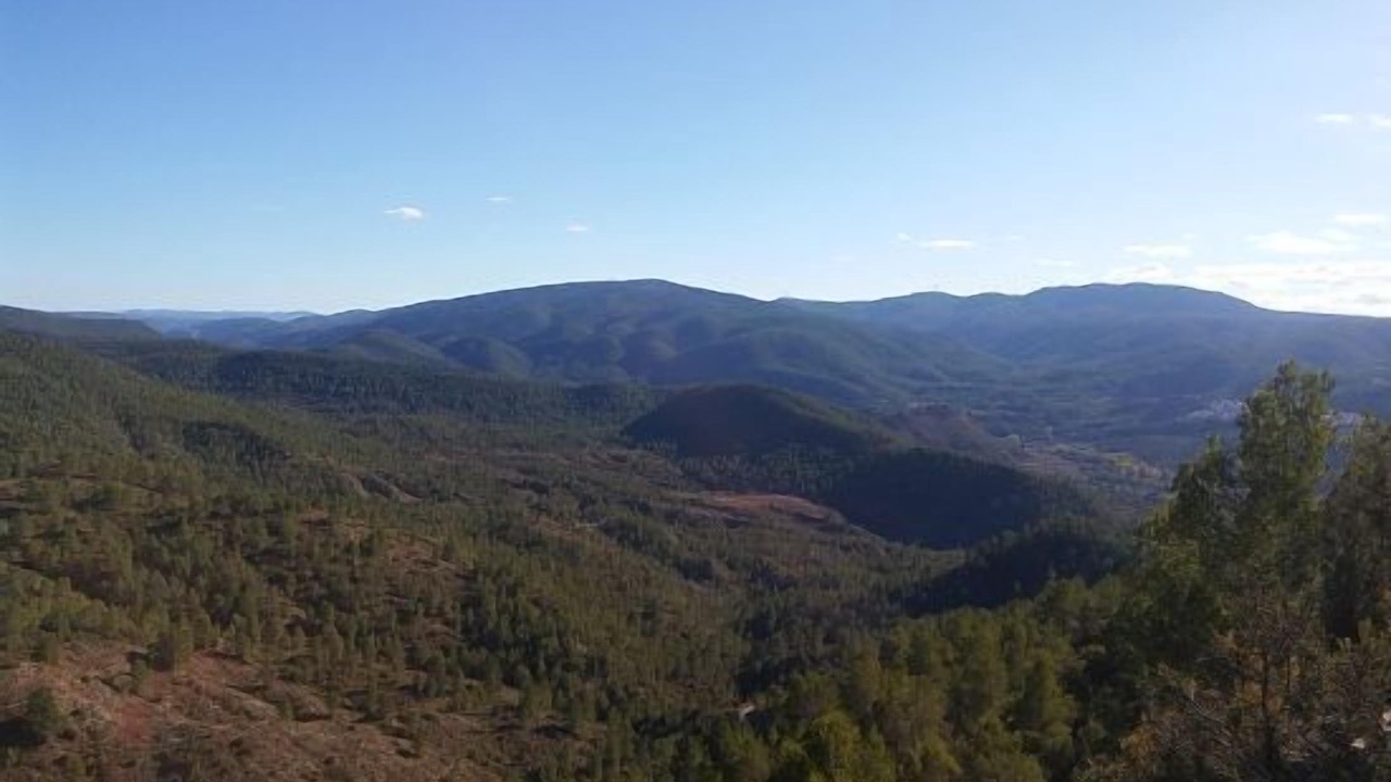 Photo of Others in Santa Cruz de Moya