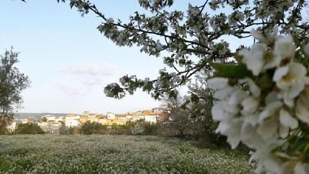 Photo of Outdoor in Santa Cruz de Moya