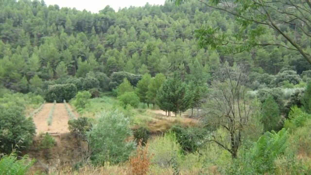Photo of Outdoor in Santa Cruz de Moya