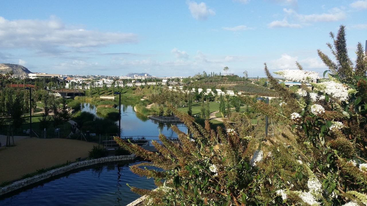 Photo of Outdoor in Playa de San Juan