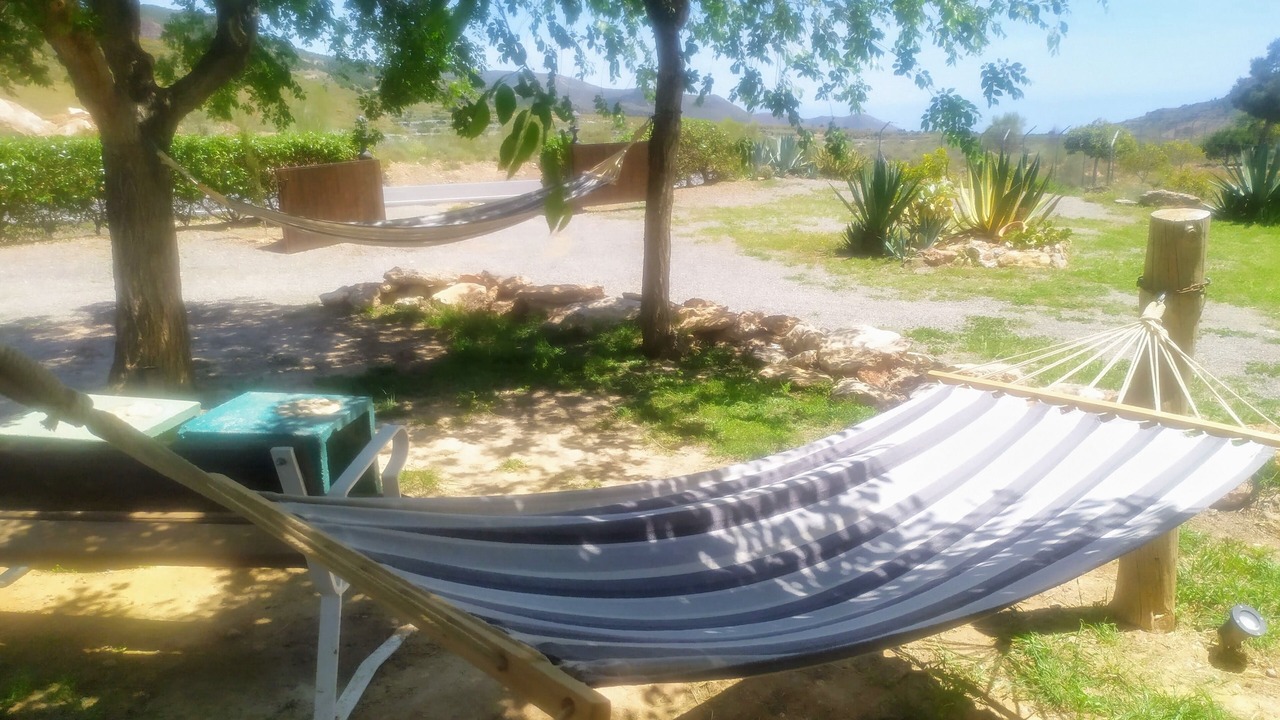 Photo of Outdoor in Felix