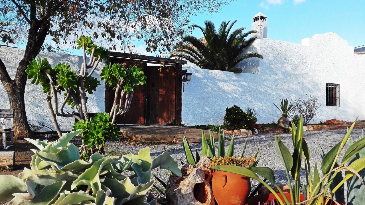 Photo of Outdoor in Felix