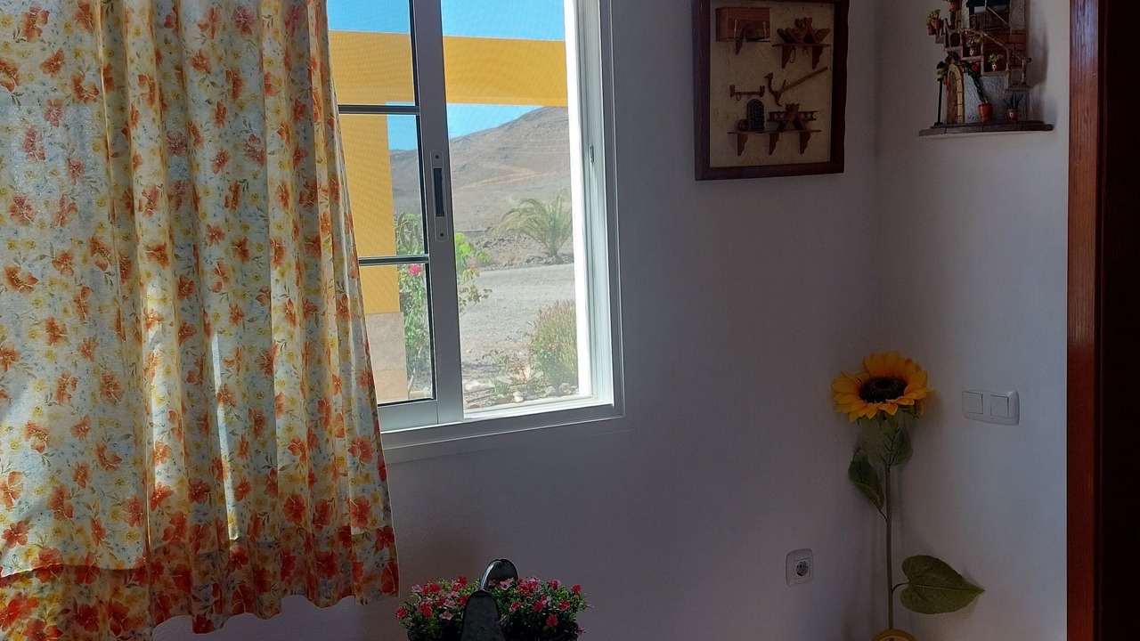 Photo of Others in Pajara