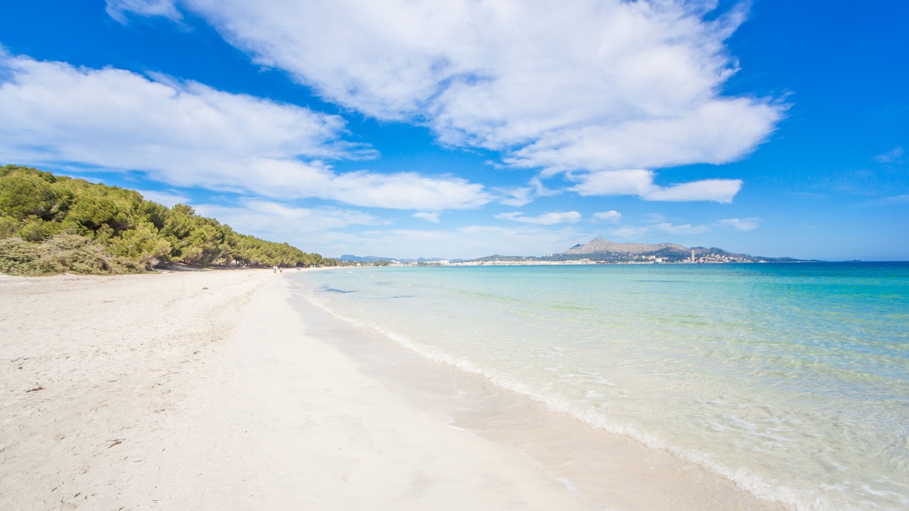 Photo of Others in Alcudia