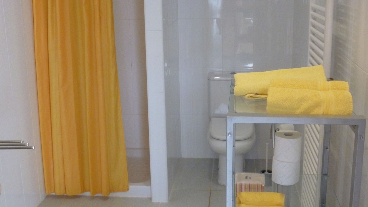 Photo of Bathroom in Sanet y Negrals