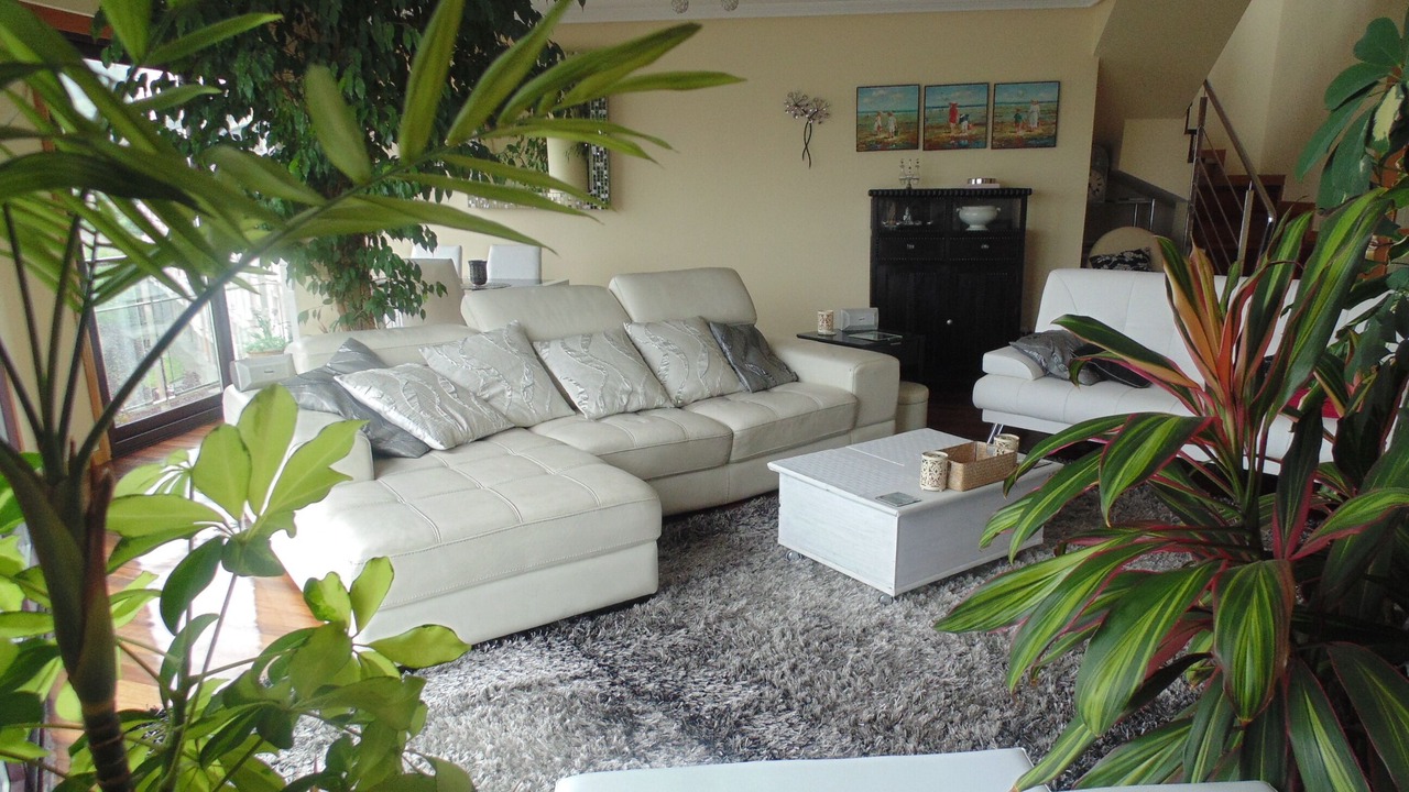 Photo of Livingroom in Ourense