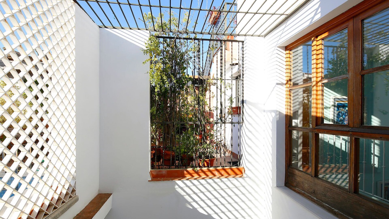 Photo of Outdoor in Feria