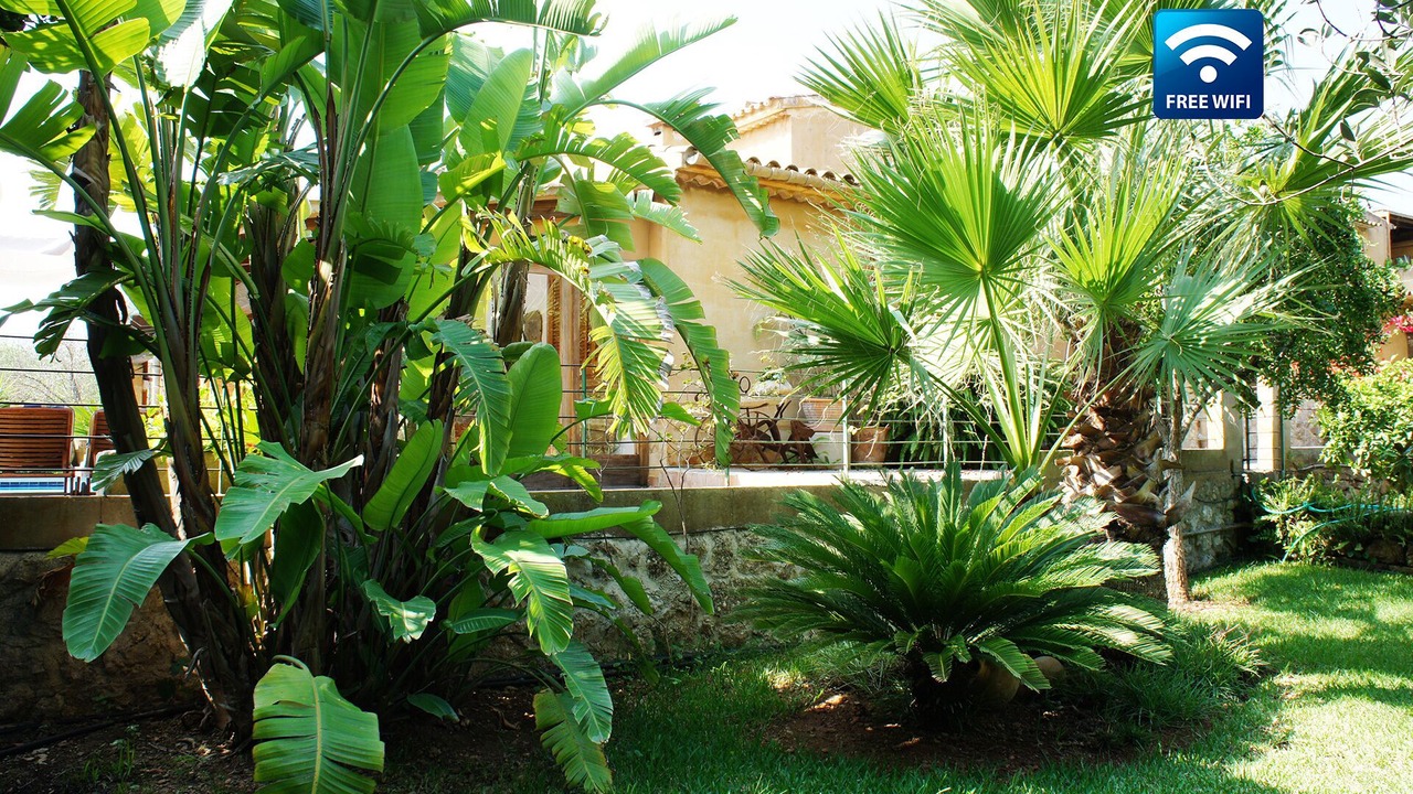 Photo of Outdoor in Pollensa