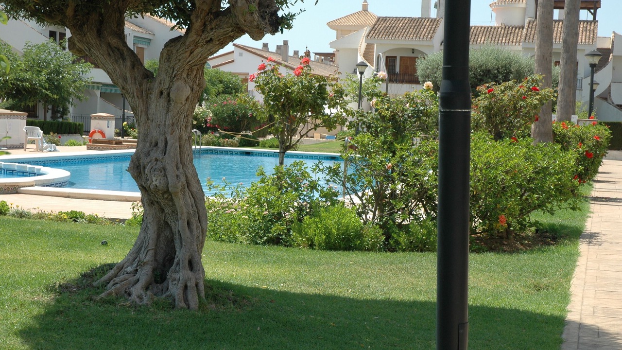 Photo of Outdoor in Torre de la Horadada