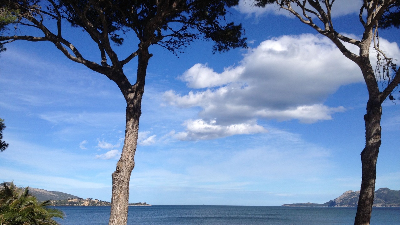 Photo of Others in Puerto de Pollensa