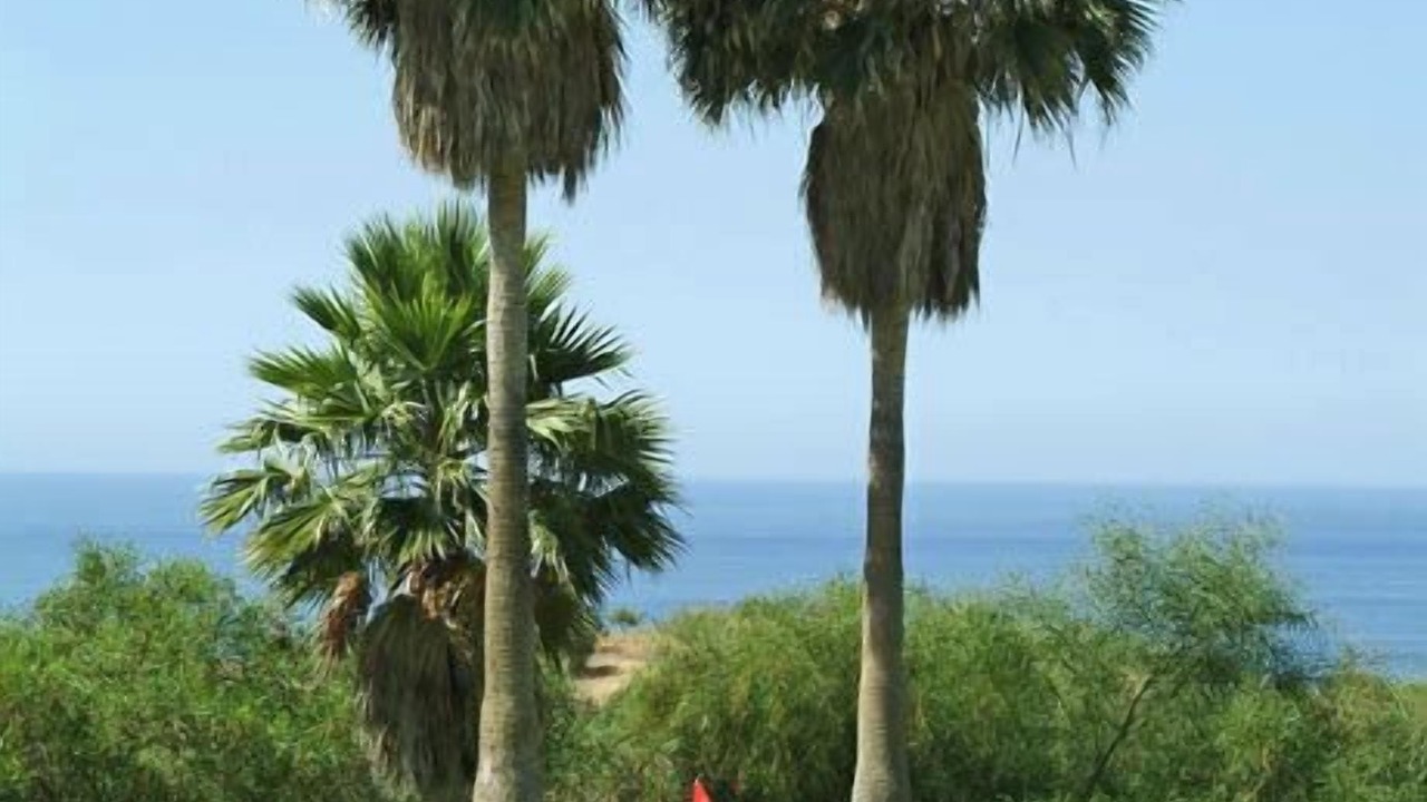 Photo of Others in Torrox Costa