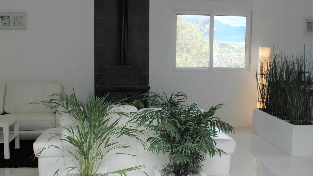 Photo of Others in Comares