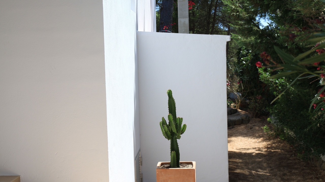 Photo of Outdoor in Son Parc