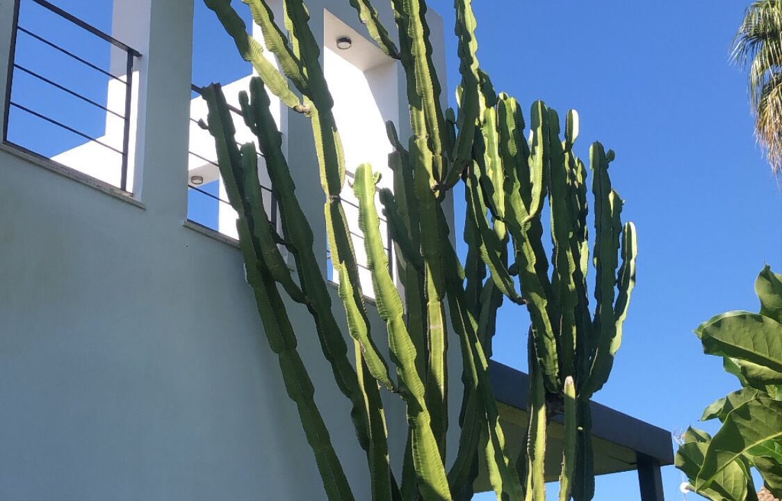 Photo of Outdoor in El Puerto de Santa Maria