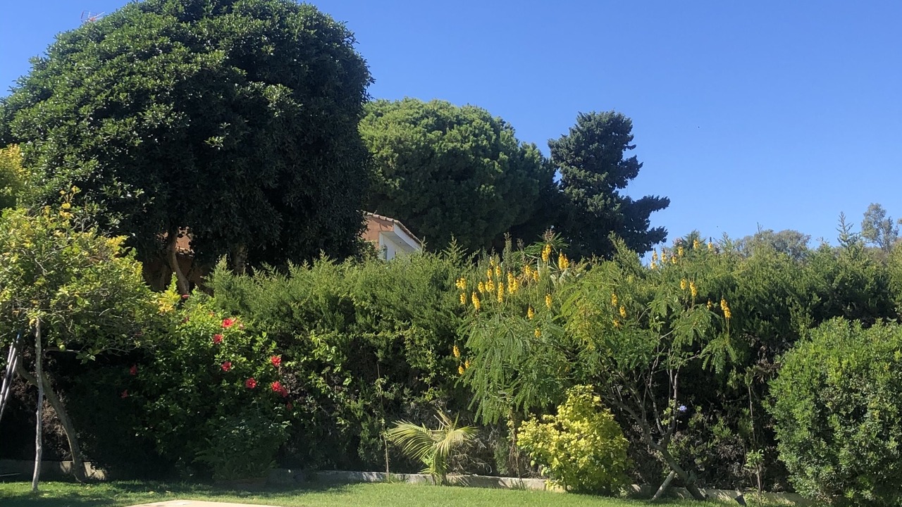 Photo of Outdoor in El Puerto de Santa Maria