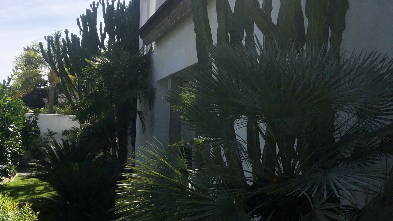 Photo of Outdoor in El Puerto de Santa Maria