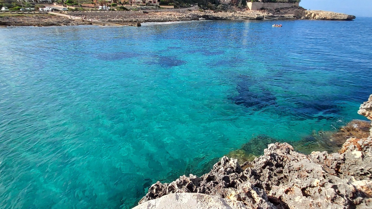 Photo of Others in Cala Murada