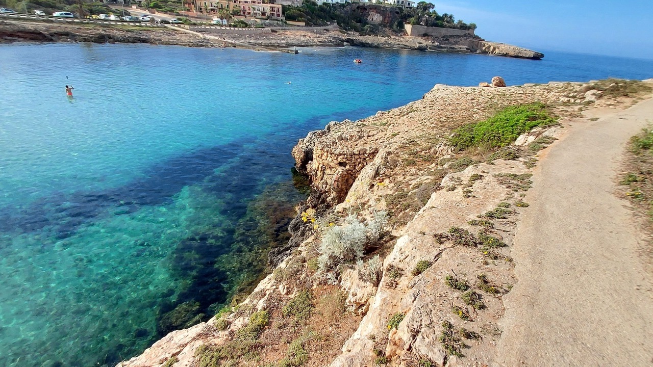 Photo of Others in Cala Murada
