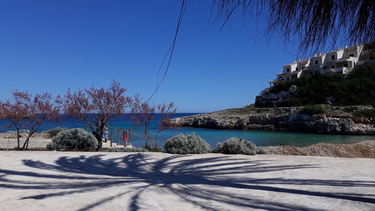 Photo of Others in Cala Murada