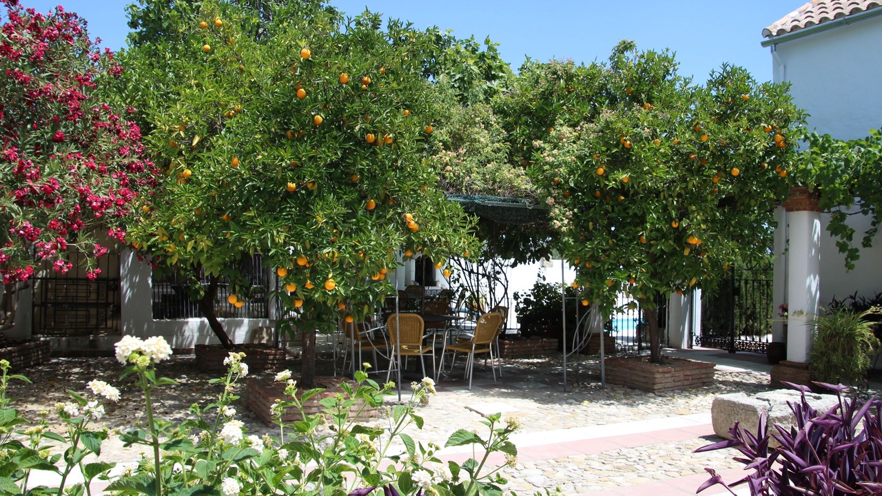 Photo of Outdoor in Fuente-Tojar