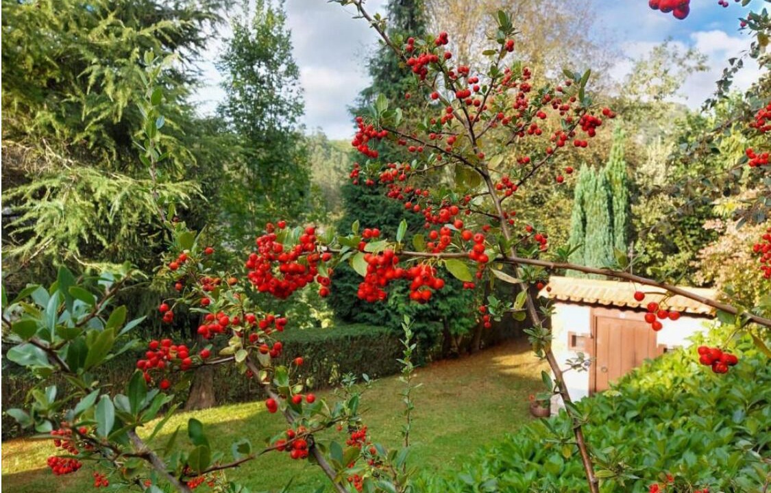 Photo of Outdoor in Hijas