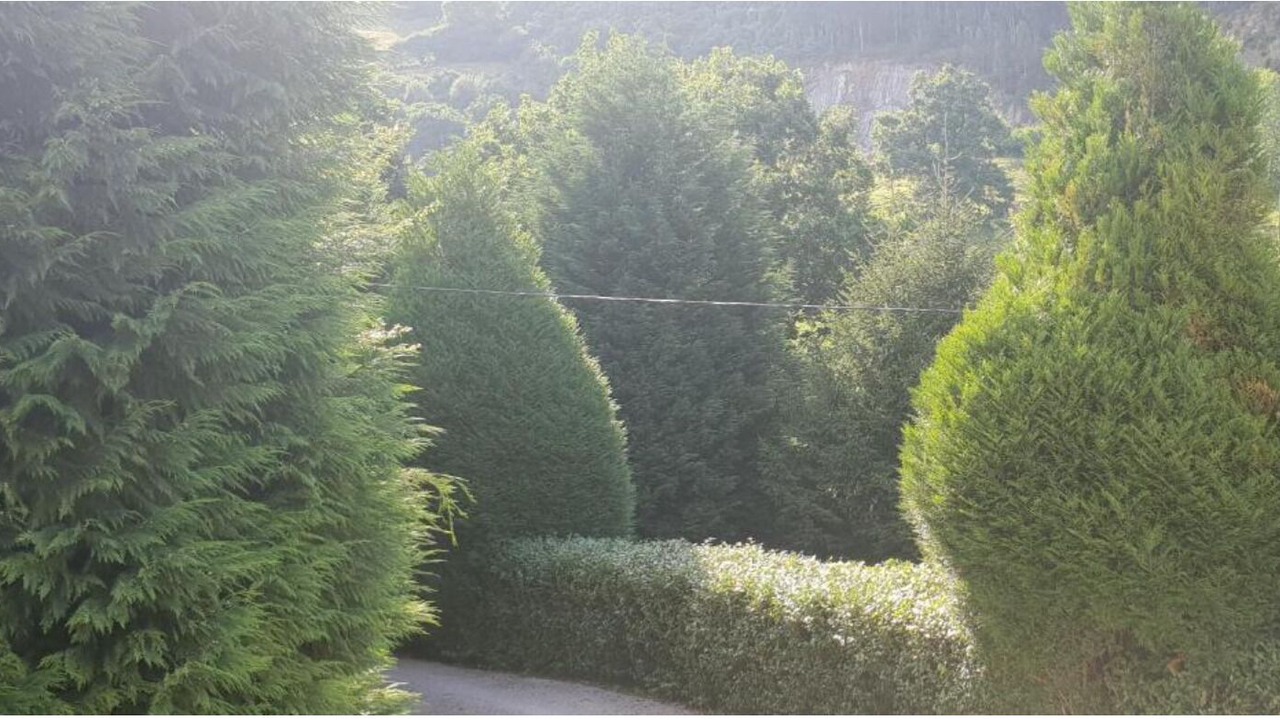 Photo of Outdoor in Hijas