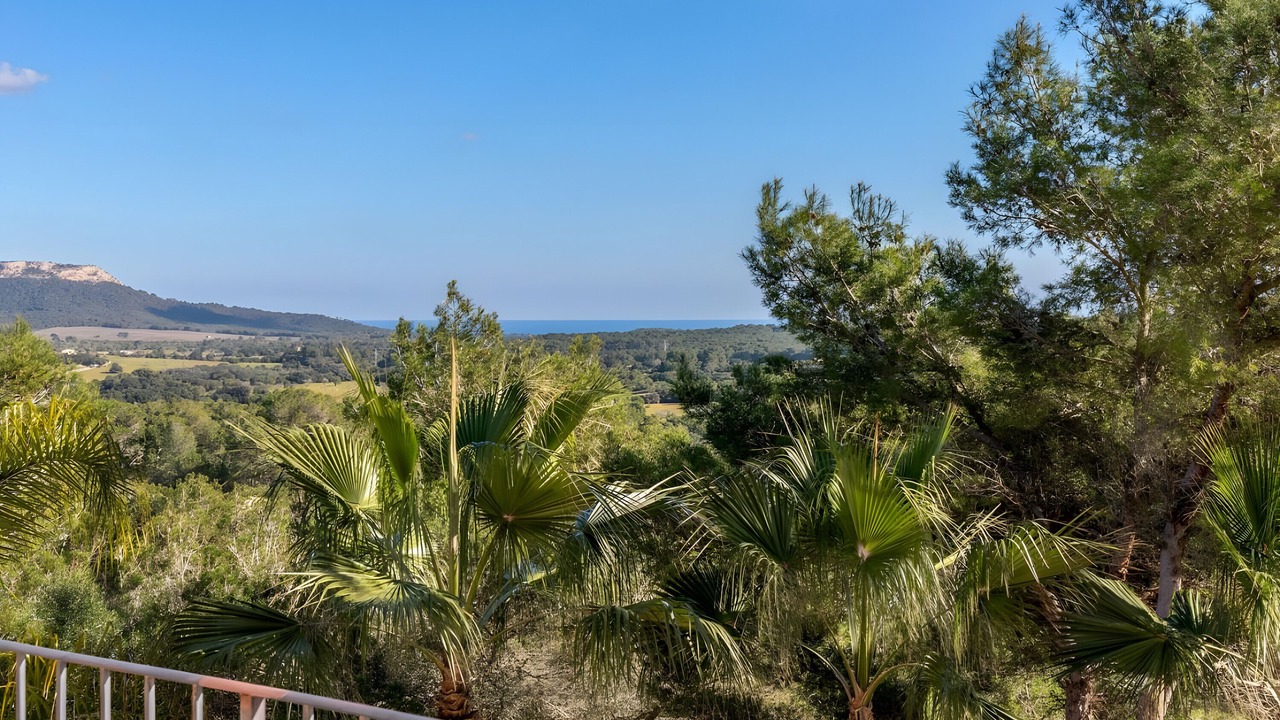 Photo of Outdoor in Felanitx
