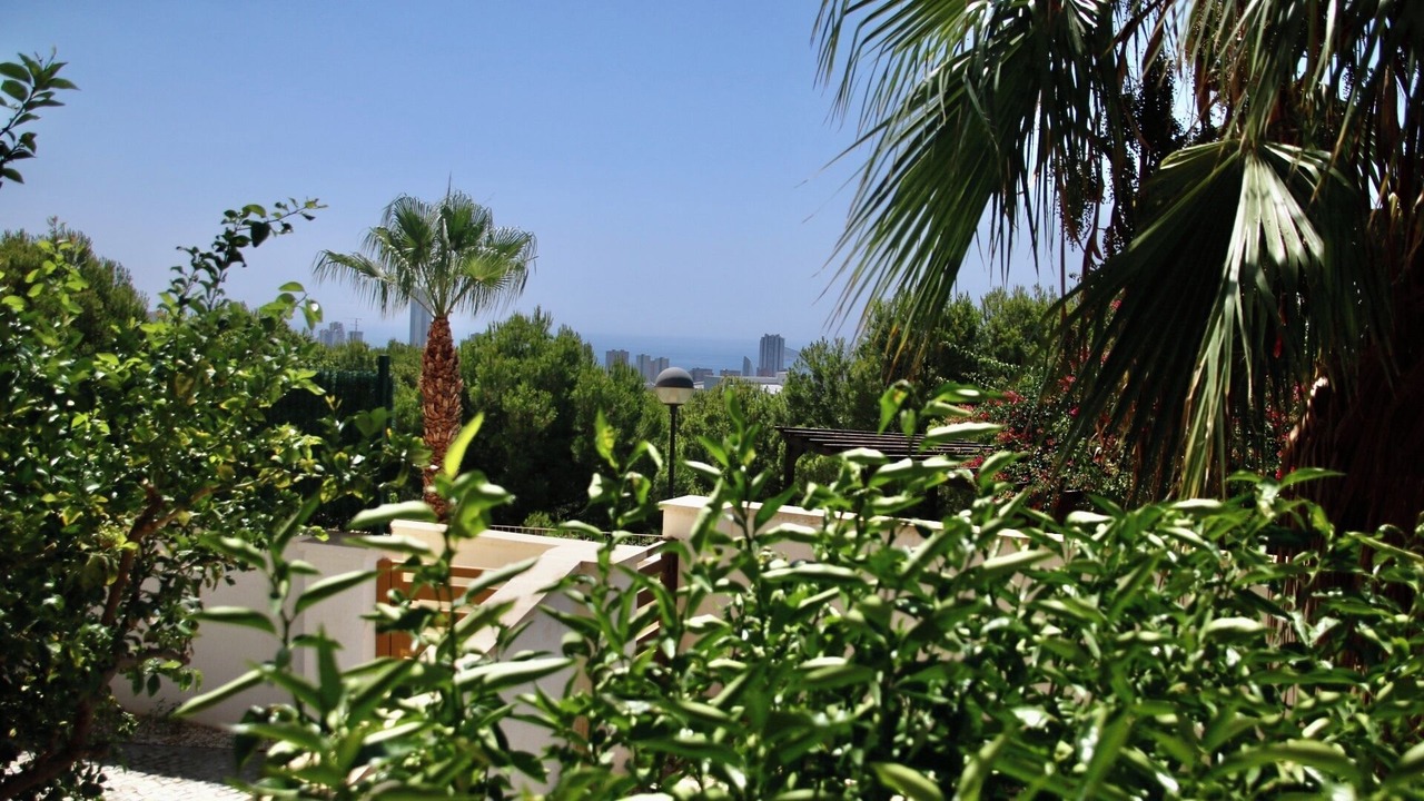 Photo of Outdoor in Golf Bahia