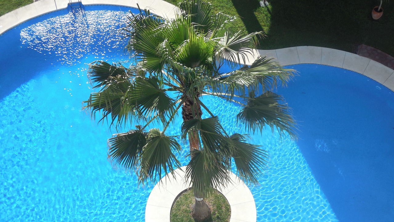 Photo of Outdoor in Cabrita