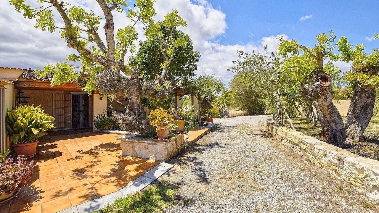 Photo of Outdoor in Son Macia