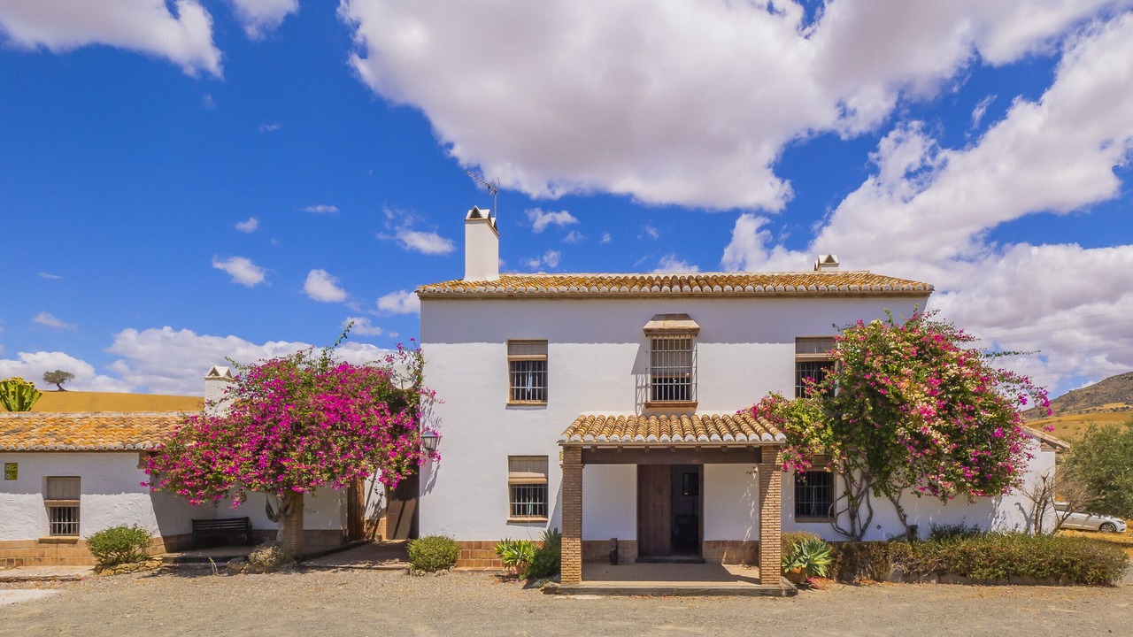 Photo of Outdoor in Alora