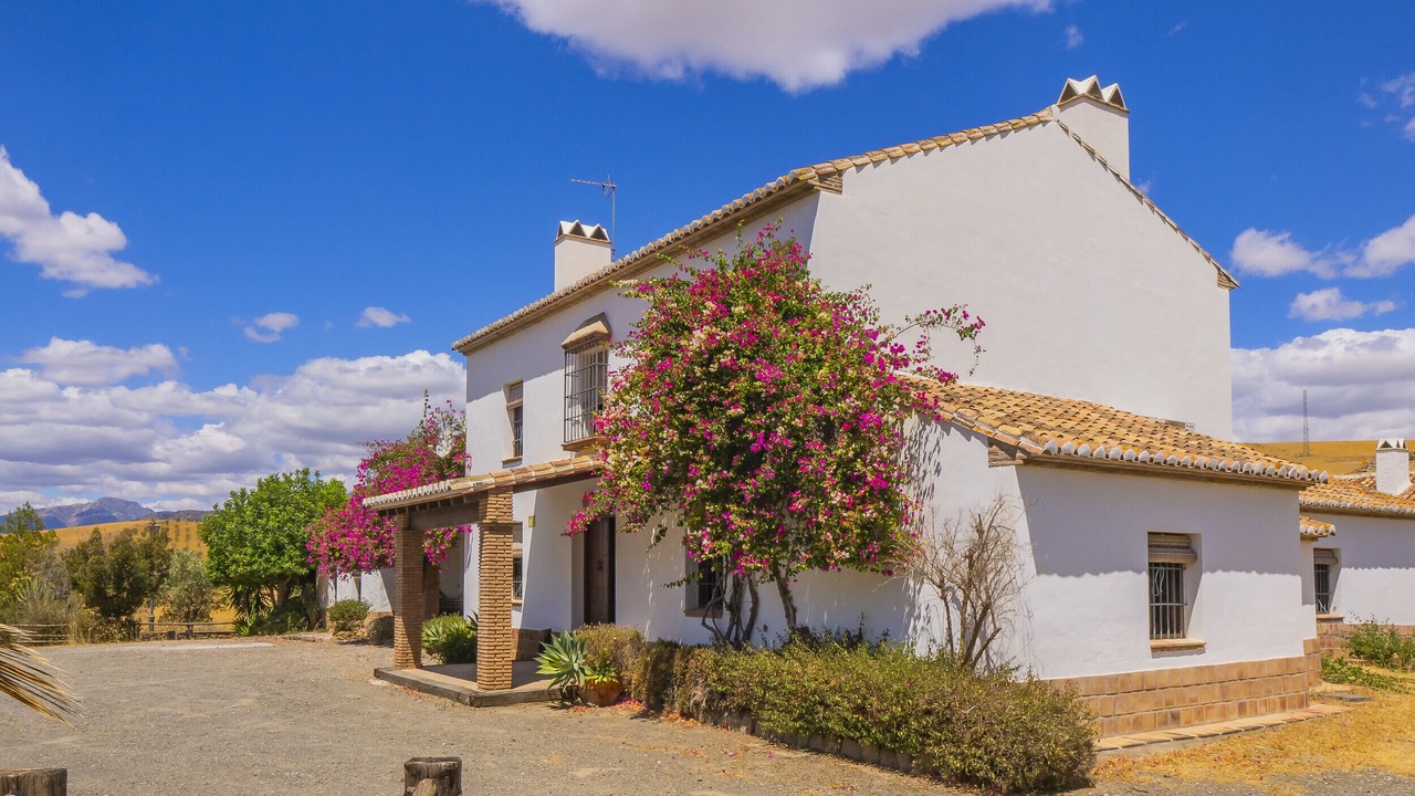 Photo of Outdoor in Alora