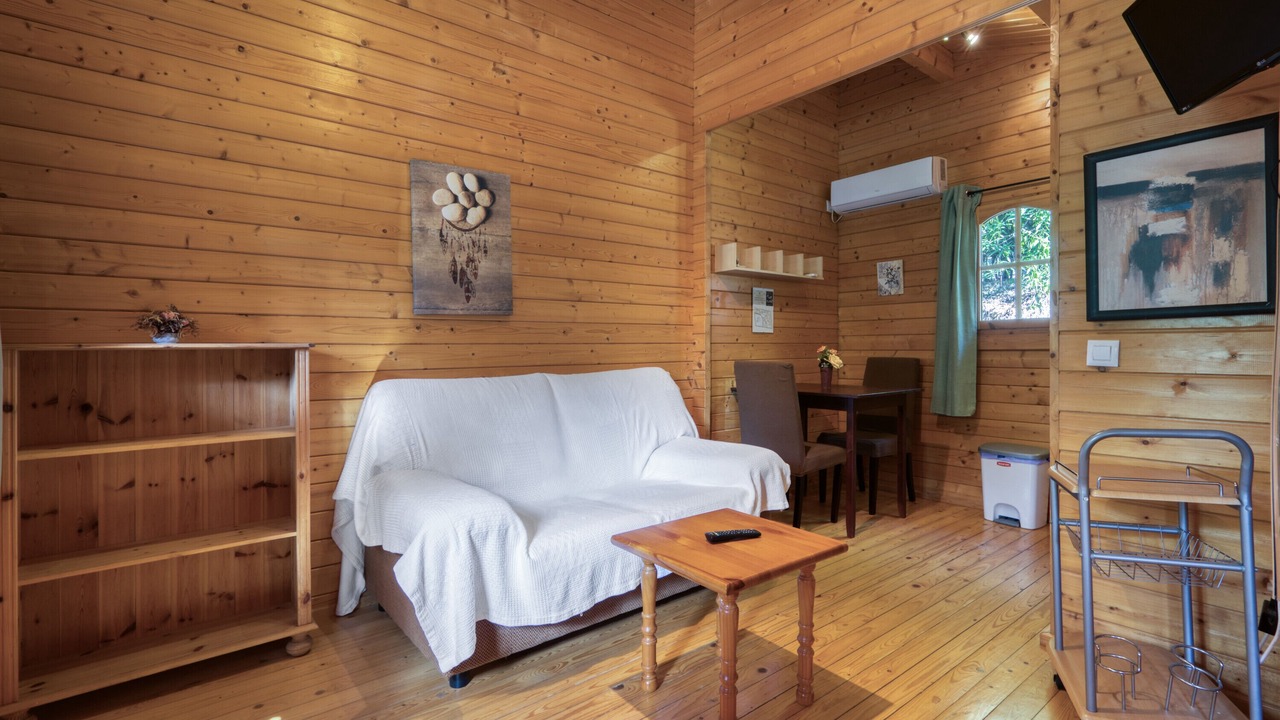 Photo of Livingroom in Benicolet