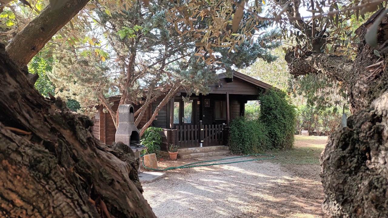 Photo of Outdoor in Benicolet
