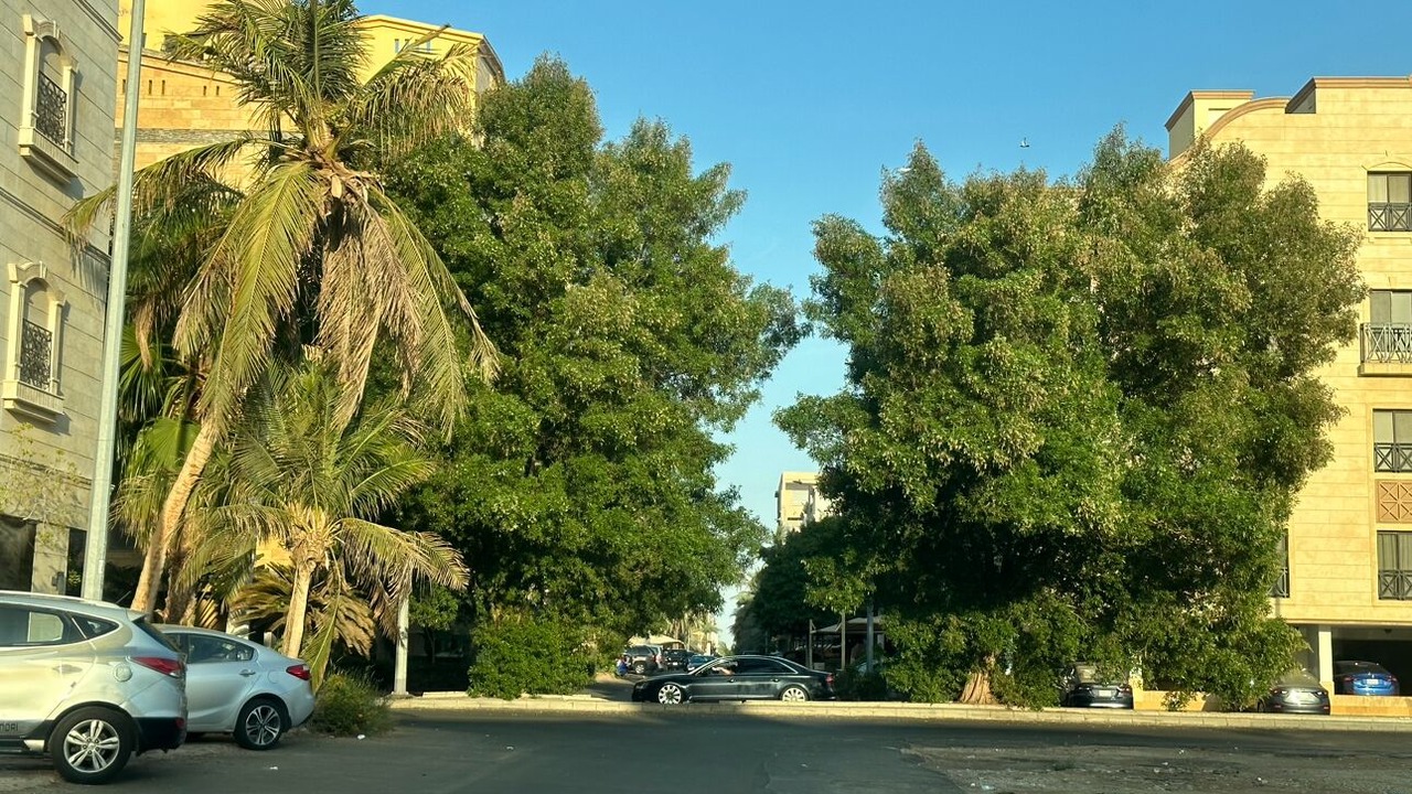 Photo of Others in Al-Rawdah