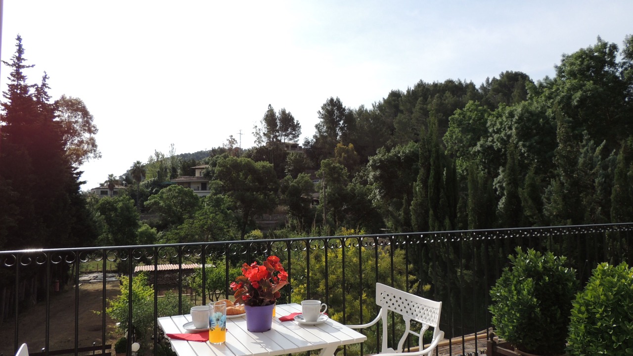 Photo of Outdoor in Puigpunyent