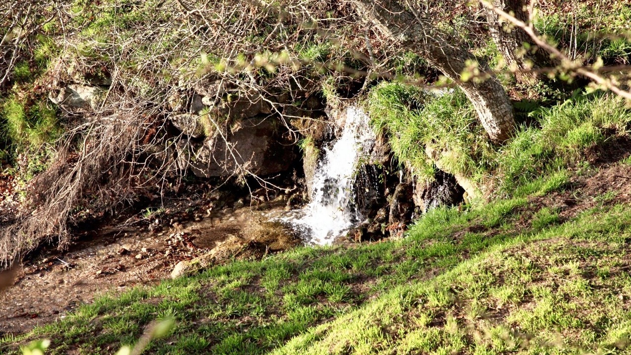 Photo of Outdoor in Gondomar